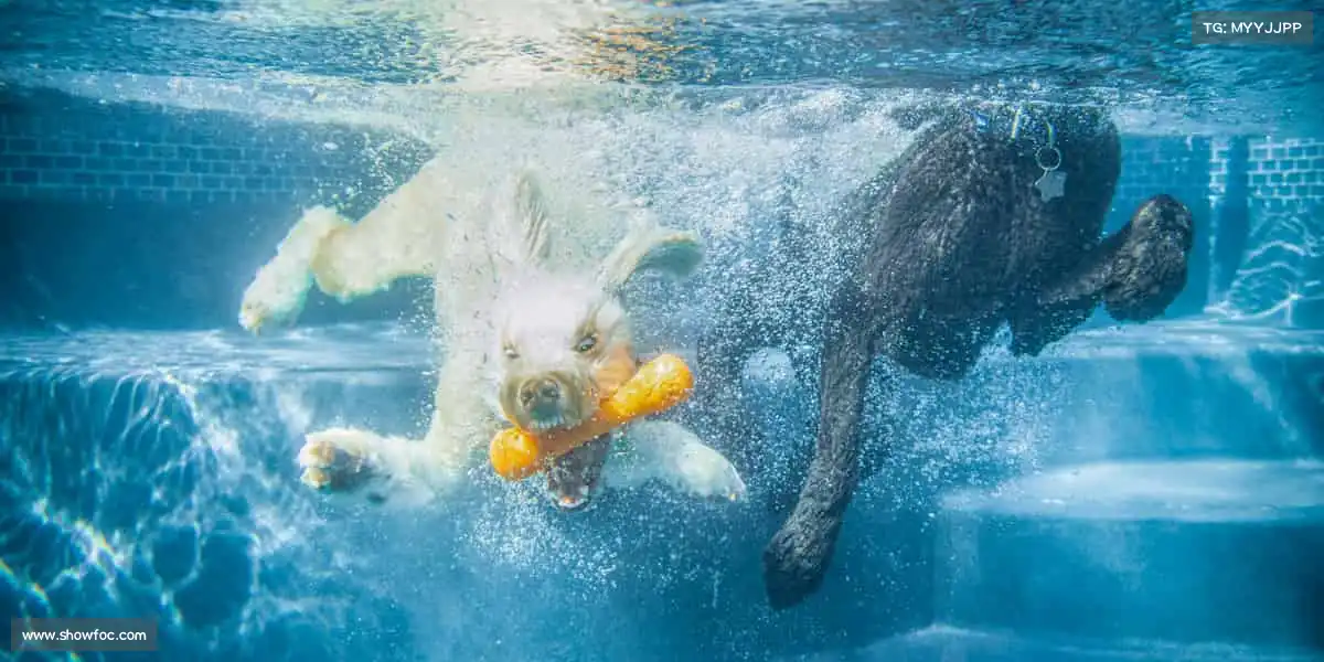 <strong>beats365</strong>🌈 从热身到冲刺，每一步都有彩虹相伴！